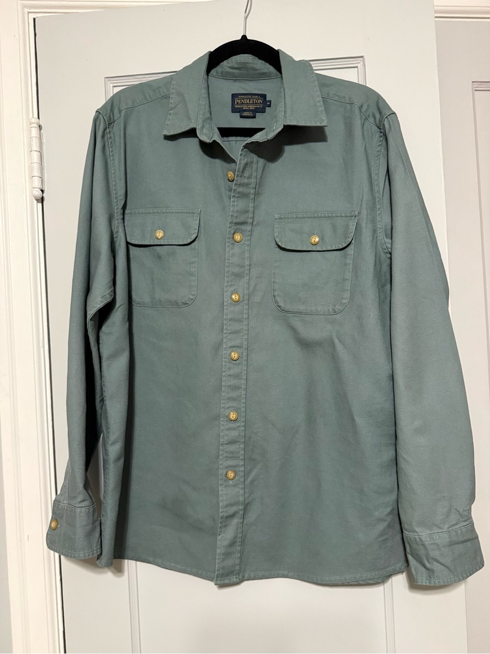 Pendleton Button Down Shirt